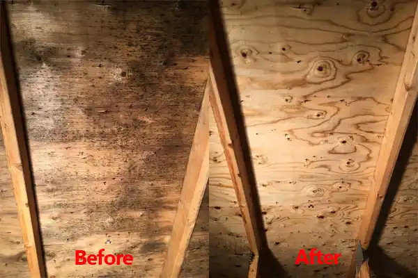 water damage restoration service Birch Tree